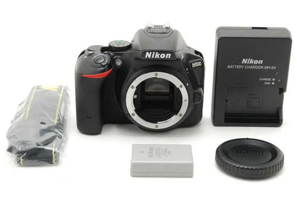 Nikon D5500 image