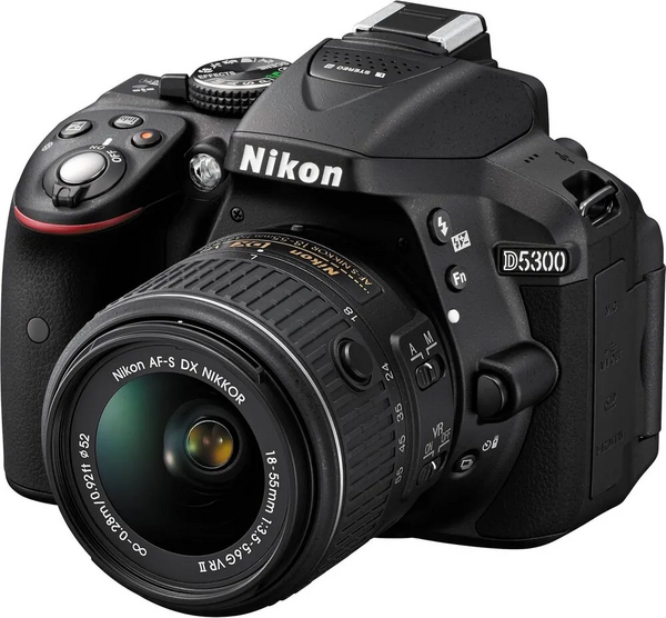 Nikon D5300 image