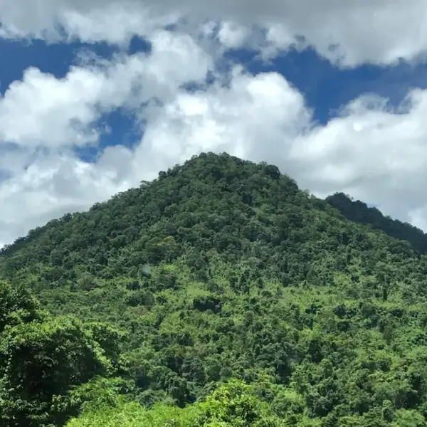 Nikon D3500 image