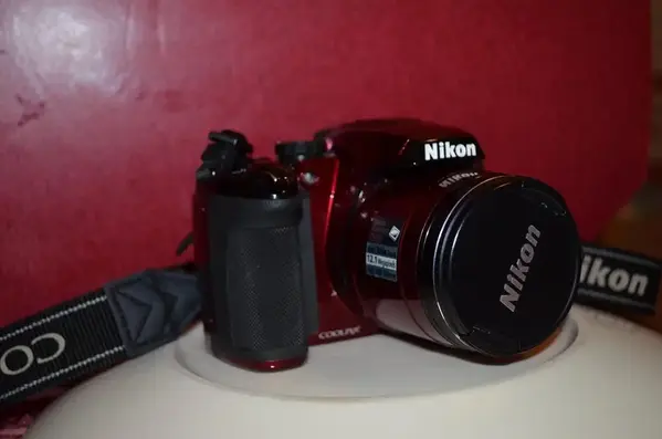 Nikon P500 image