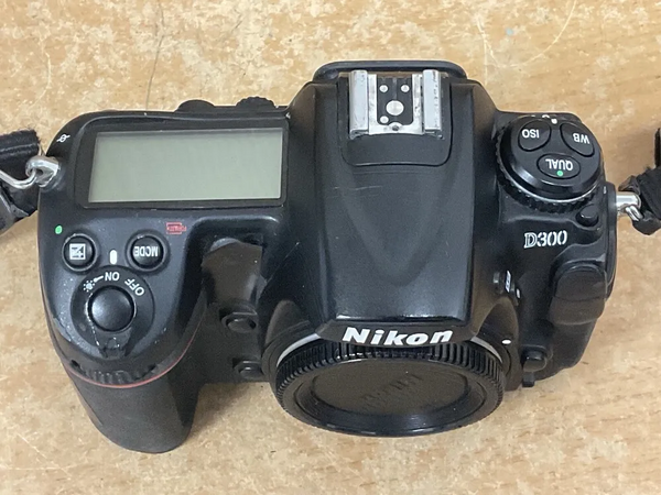 Nikon D300 image