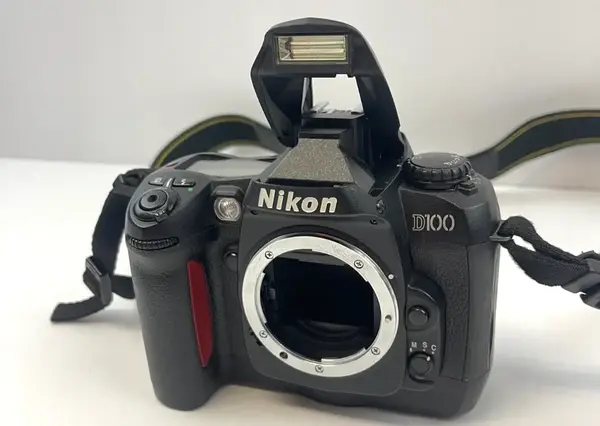 Nikon D100 image