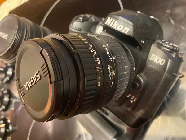 Nikon D100 image