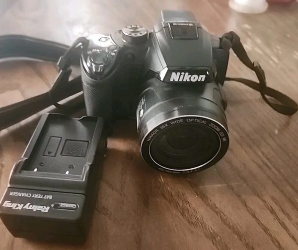 Nikon P500 image