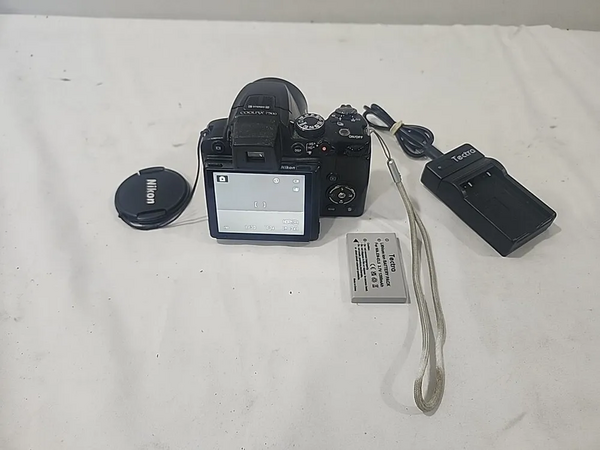 Nikon P500 image