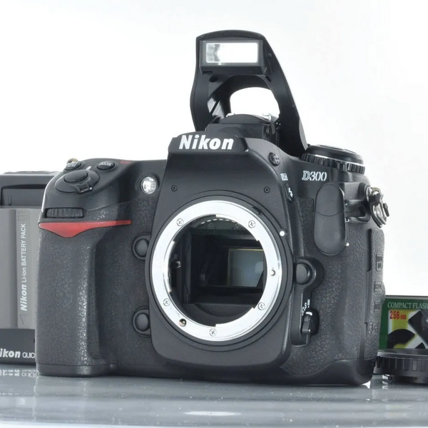 Nikon SLR Digital image