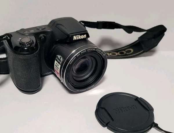 Nikon L320 image