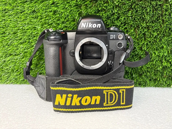 Nikon D1 image