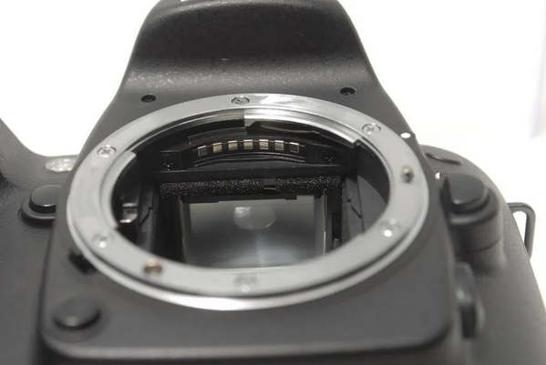 Nikon D80 image