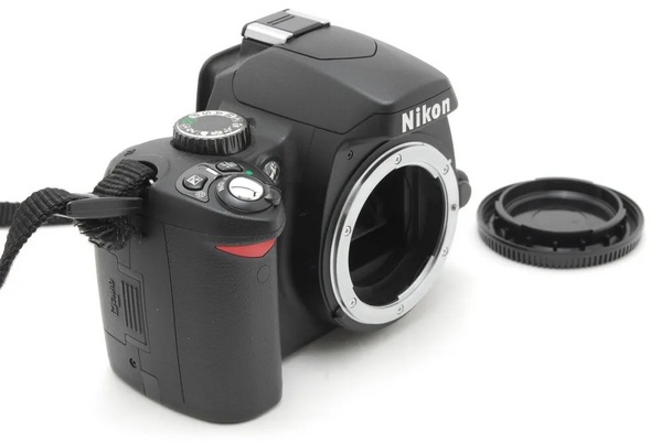 Nikon D60 image