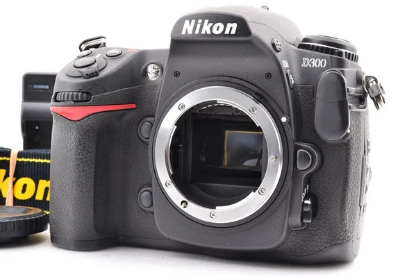 Nikon D300 image