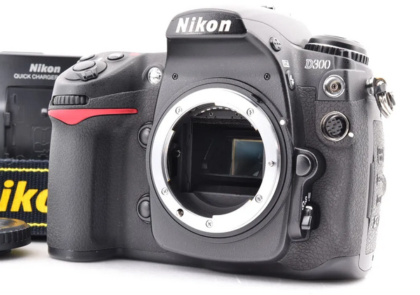 Nikon D300 image