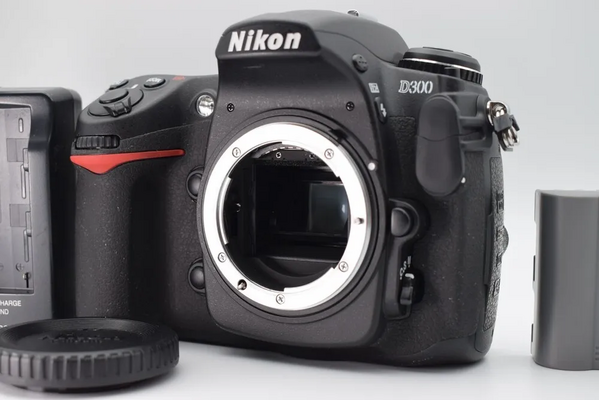 Nikon D300 image