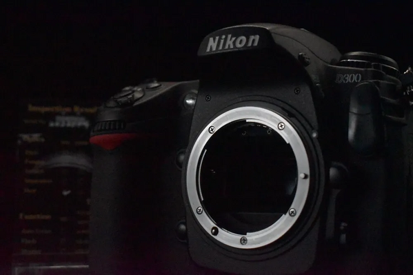 Nikon D300 image