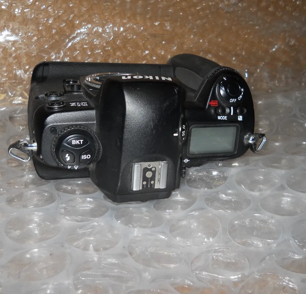 Nikon D1x image