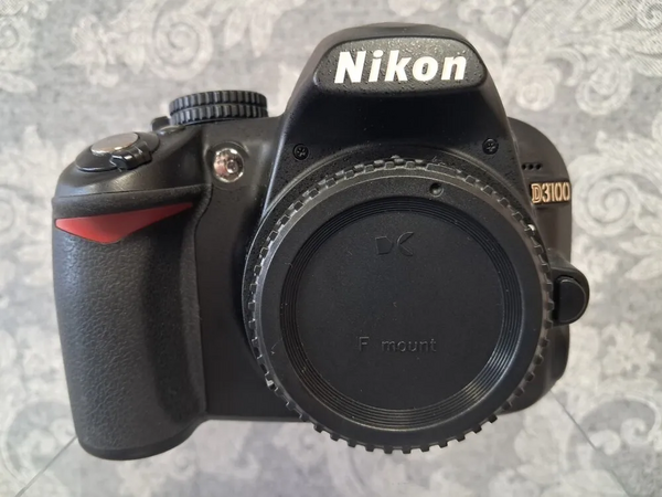 Nikon D3100 image