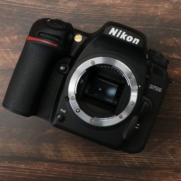 Nikon D7500 image