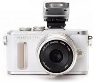 Olympus PEN E-PL8 image
