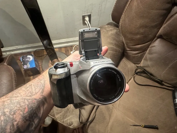Olympus D500 image