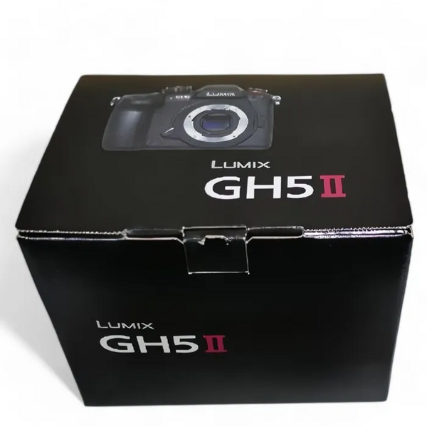 Panasonic Lumix dc-gh5 image
