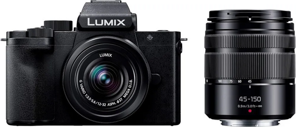 Panasonic LUMIX G100 image