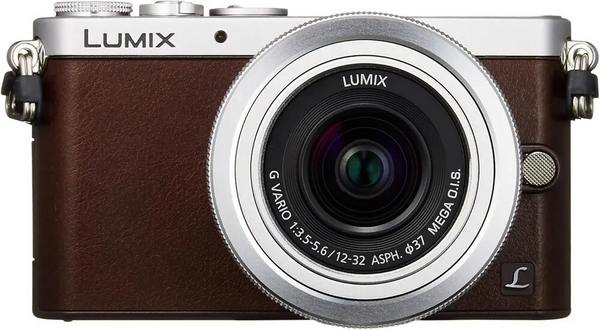 Panasonic GM1SK-T image