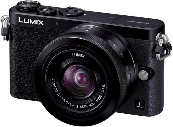 Panasonic LUMIX DMC-GM1 image