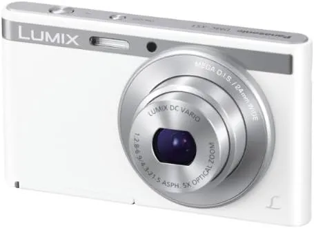 Panasonic LUMIX XS1 image
