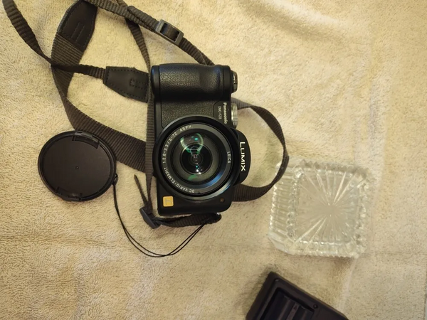 Panasonic FZ8 image