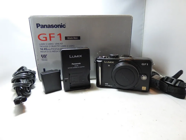 Panasonic GF1K image
