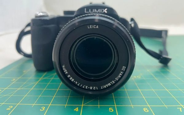 Panasonic FZ30 image