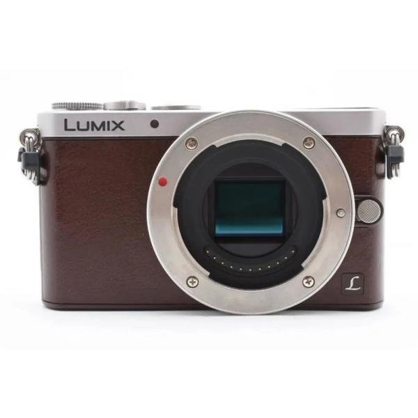 Panasonic GM1S image