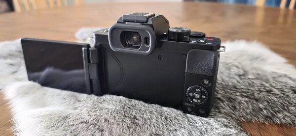 Panasonic Lumix G100 image