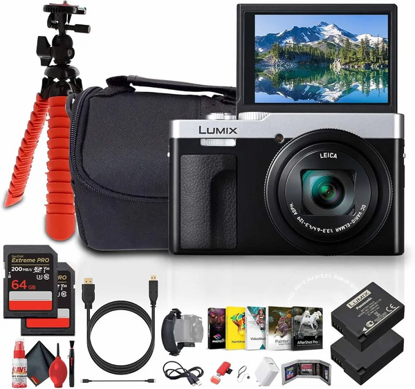 Panasonic ZS99S image