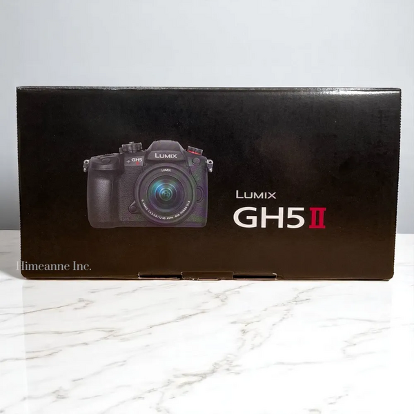 Panasonic GH5 II image