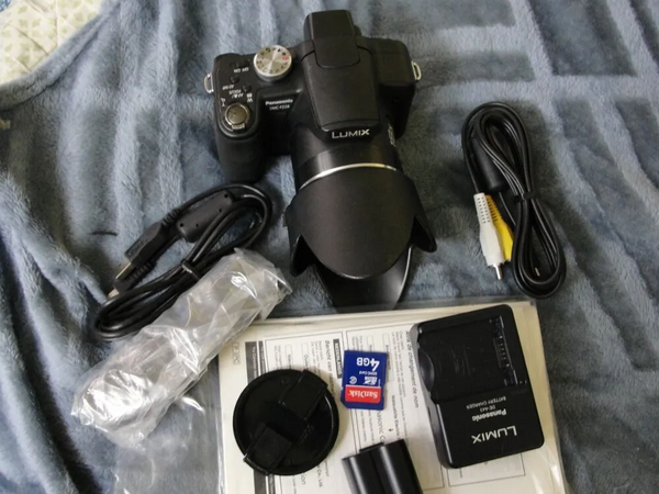 Panasonic FZ28 image