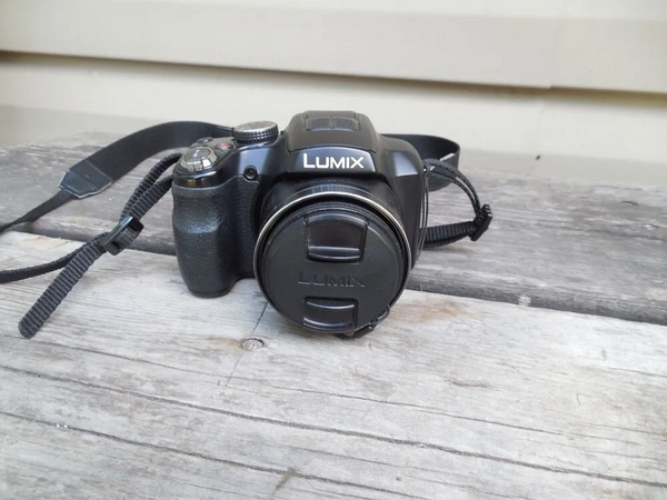 Panasonic DMC-FZ60 image