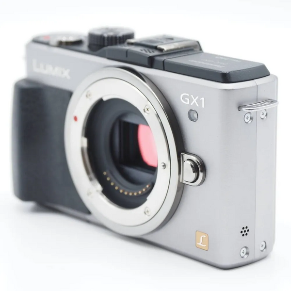 Panasonic Lumix dmc-gx1 image