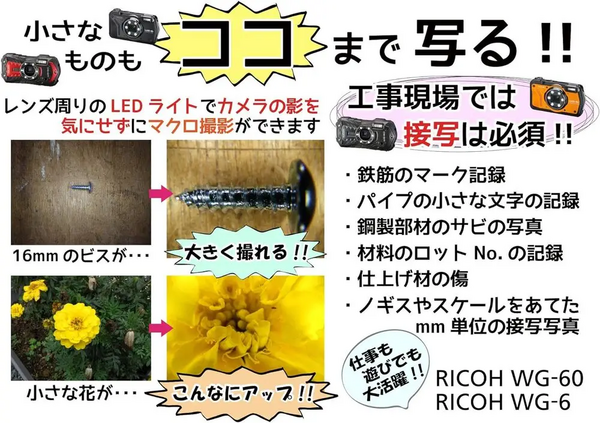 Ricoh WG 60 image