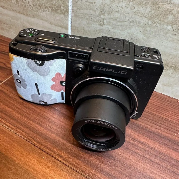 Ricoh GX100 image
