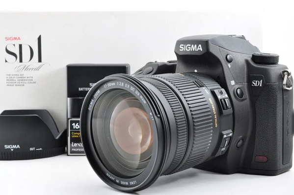 Sigma Sd1 merrill image
