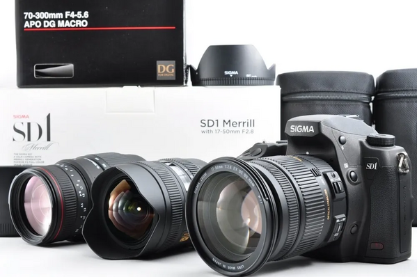 Sigma Sd1 merrill image