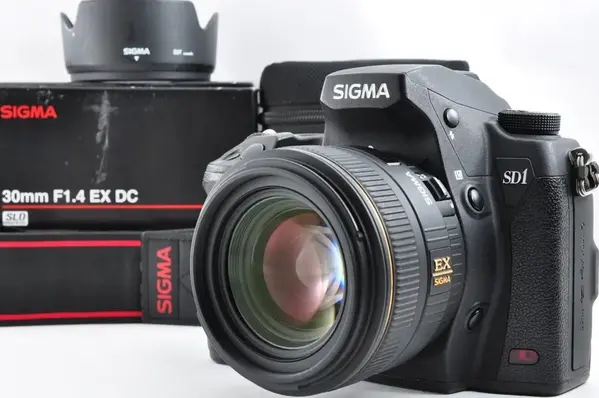 Sigma Sd1 merrill image
