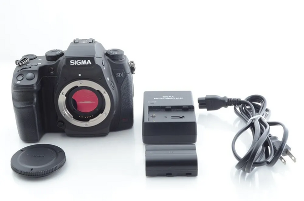 Sigma SD1 Merrill image