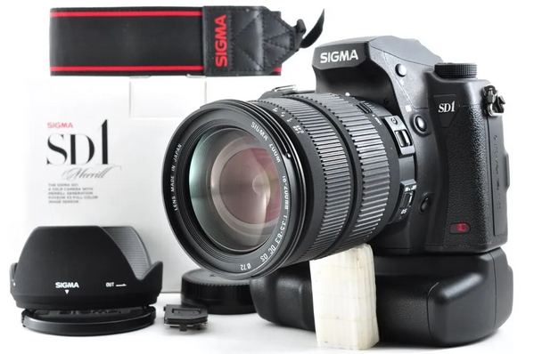 Sigma Sd1 merrill image