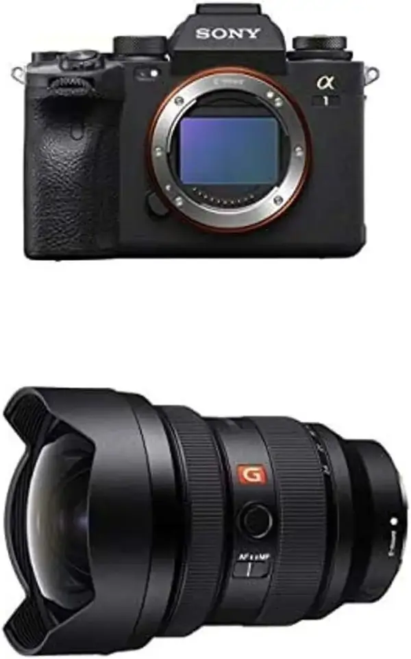 Sony Fe image