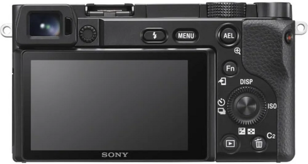 Sony A6100 image