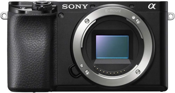 Sony 6100 image