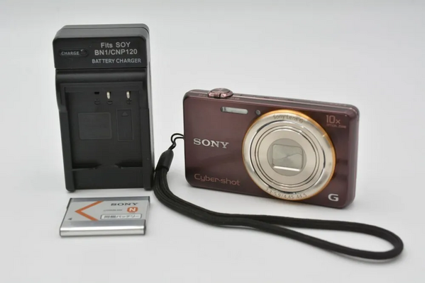 Sony WX100 image