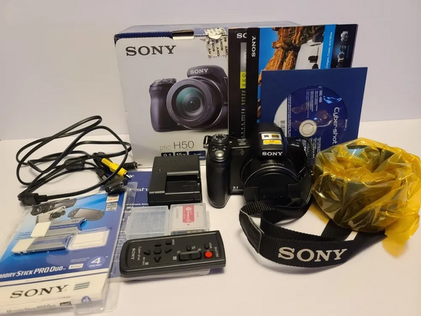 Sony H50 image